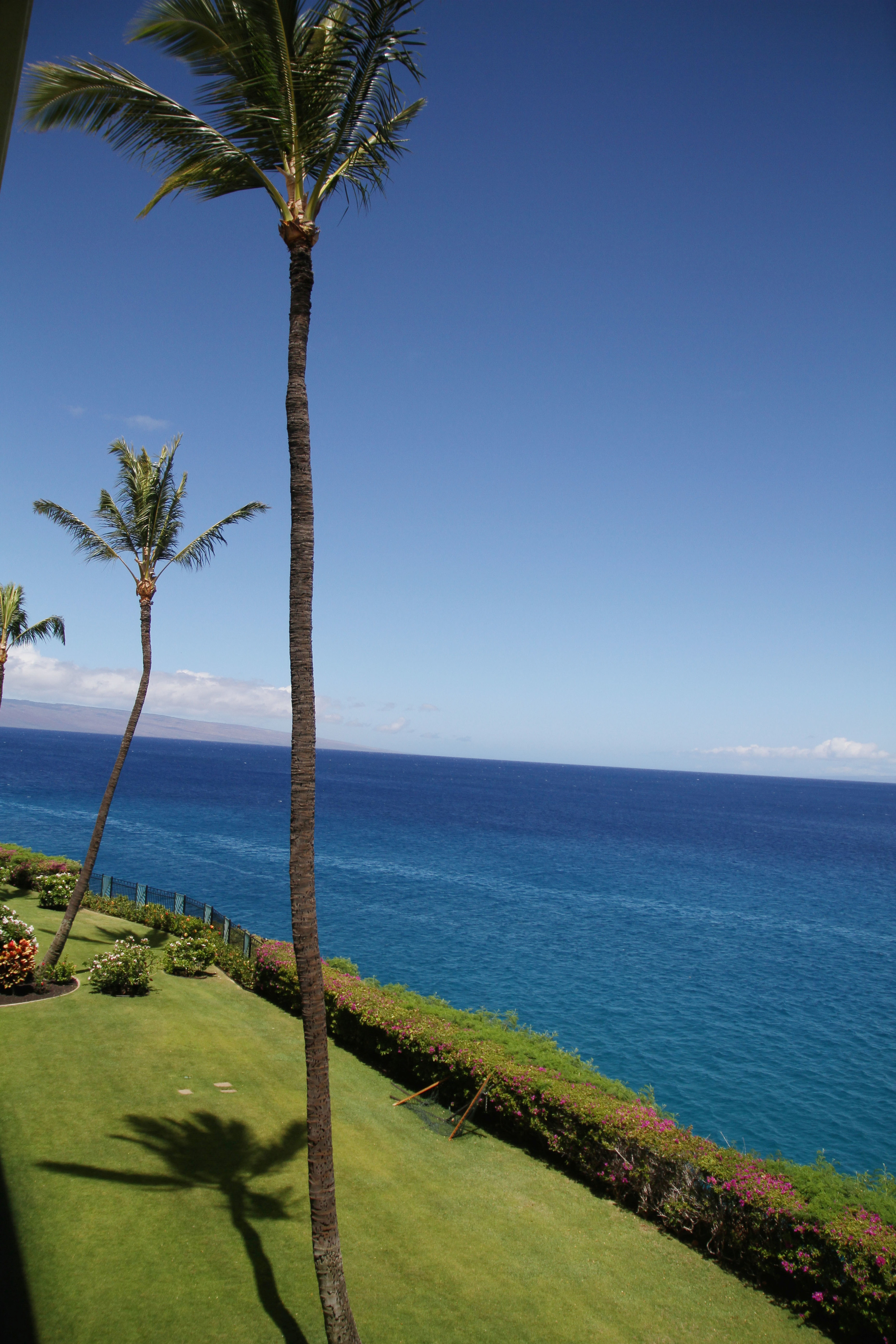 maui sheraton window view.jpg