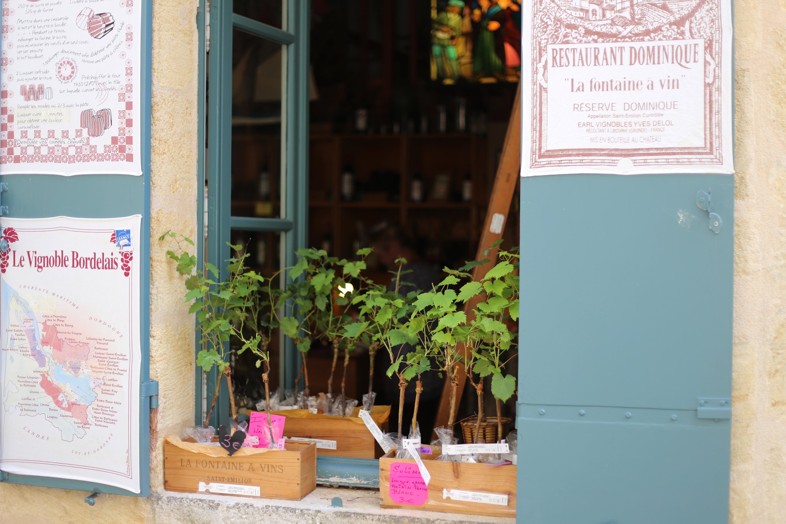 medieval village of Saint-Emilion bordeaux shop.JPG