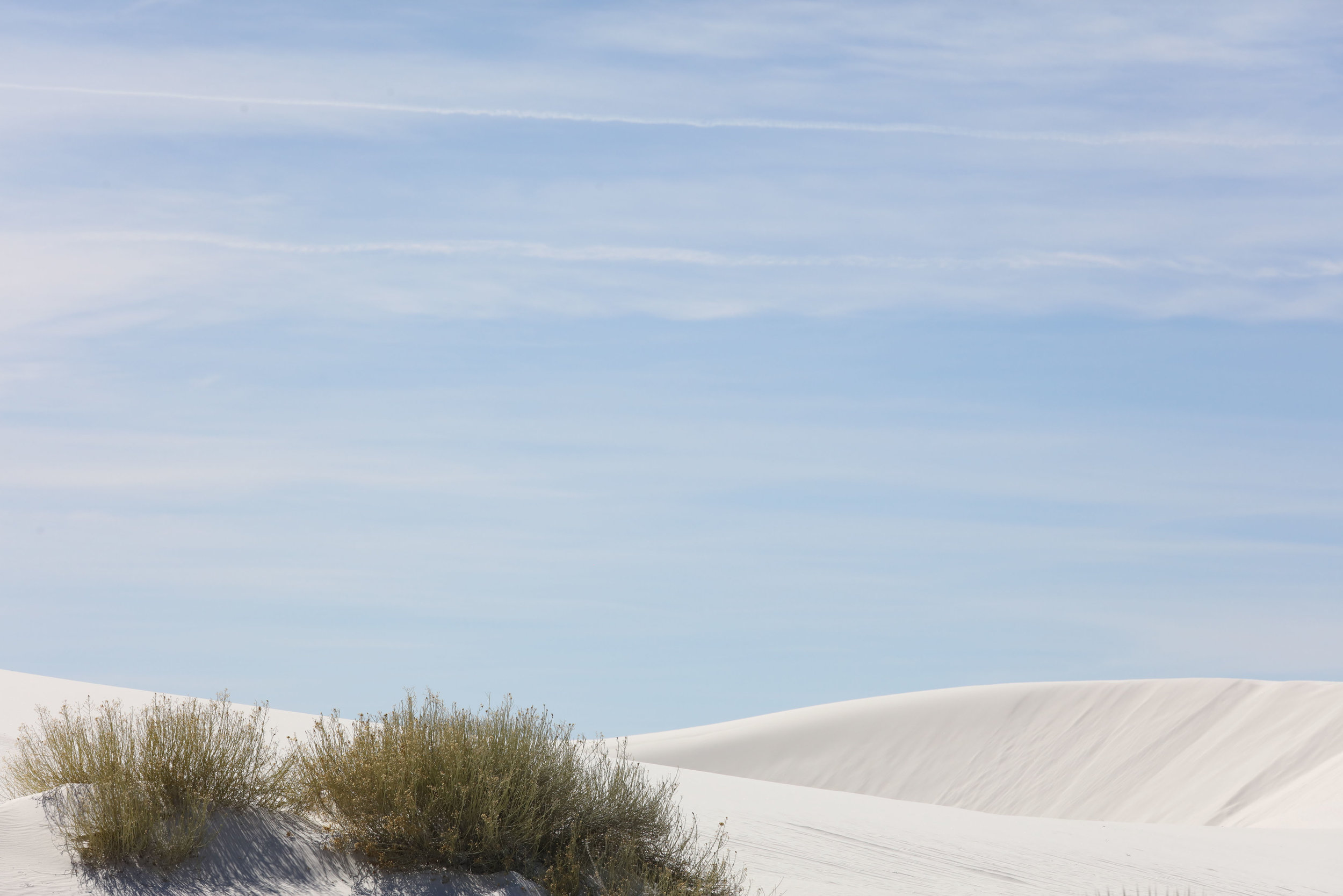 White Sands National Monument 7.JPG