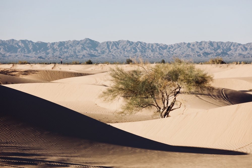 imperial sand dune CA.jpg