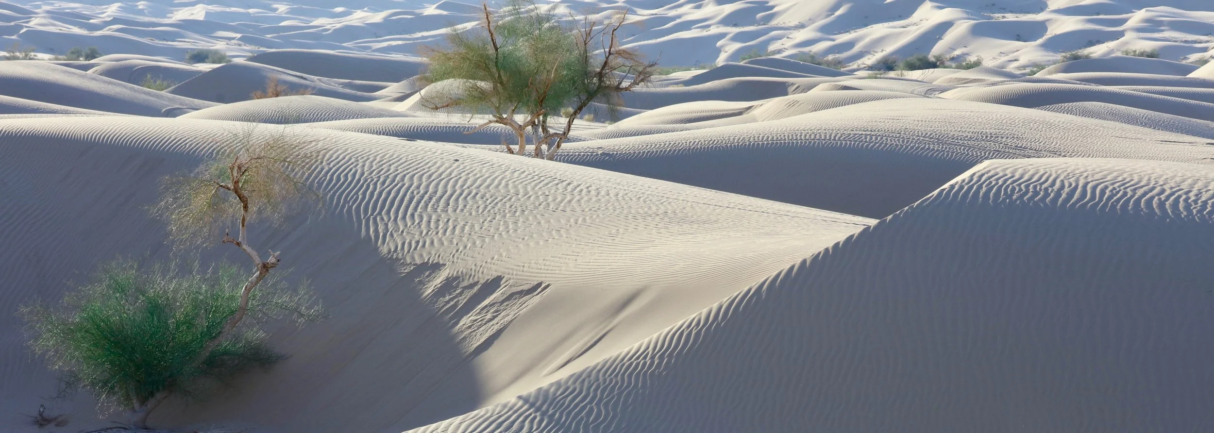 best travel destination in california 2018jpg.jpg