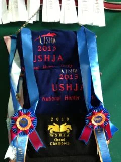 Archway Horse Show039.jpg