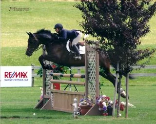 Archway Horse Show070.jpg