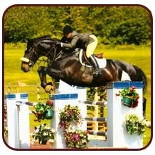 Archway Horse Show074.jpg