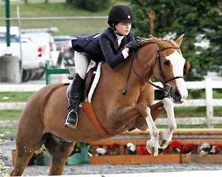 Archway Horse Show078.jpg