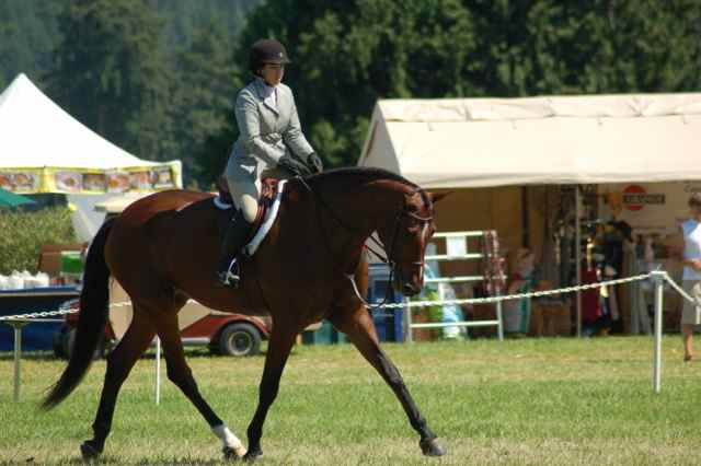 Archway Horse Shows010.jpg