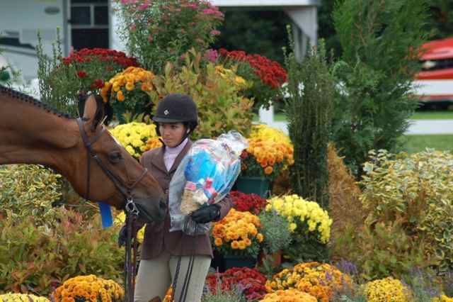 Archway Horse Shows012.jpg