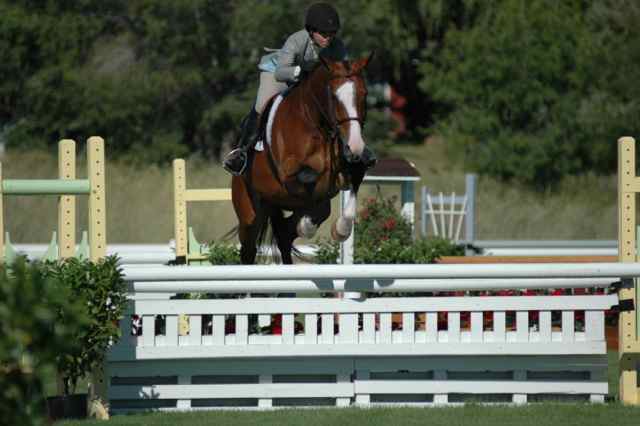 Archway Horse Shows026.jpg