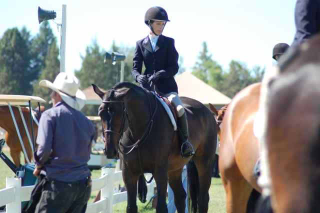 Archway Horse Shows081.jpg