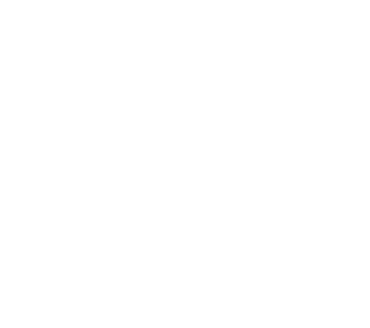 Strategy
