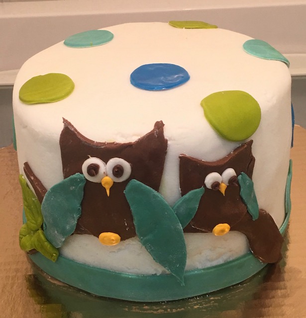 Owl Fondant Cake.jpg