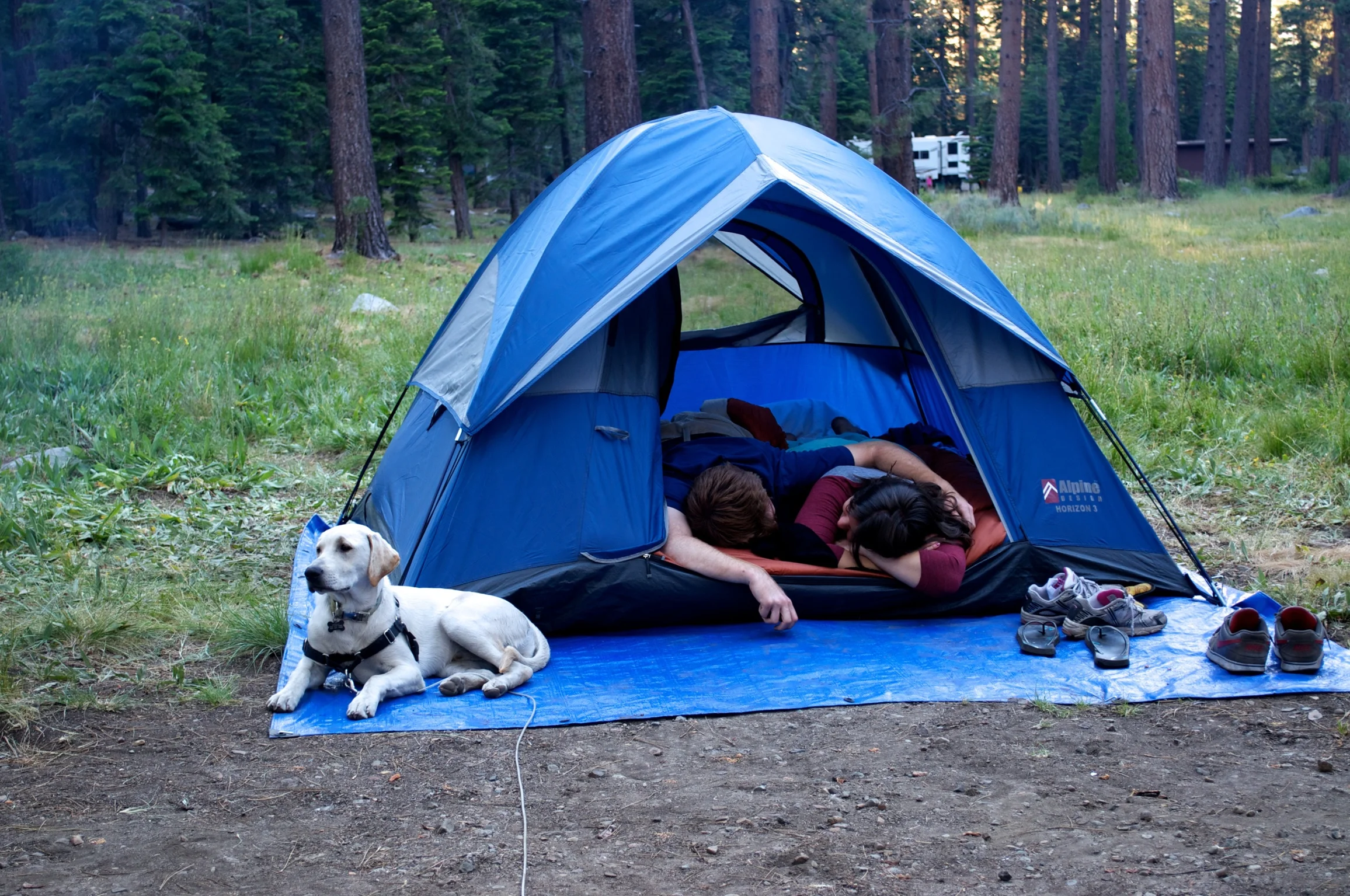 DSC_0430.jpg