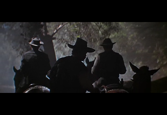 the_wild_bunch.png