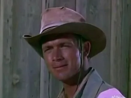 Chad Everett.jpg