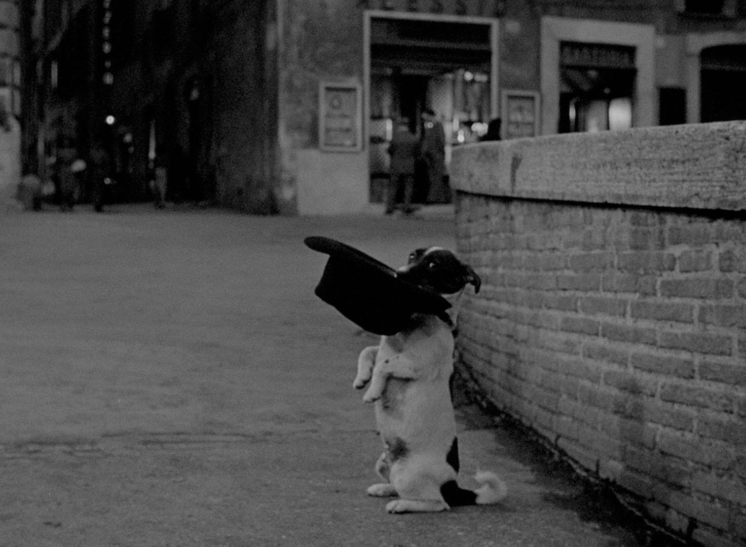 102. Umberto D. (1952)
