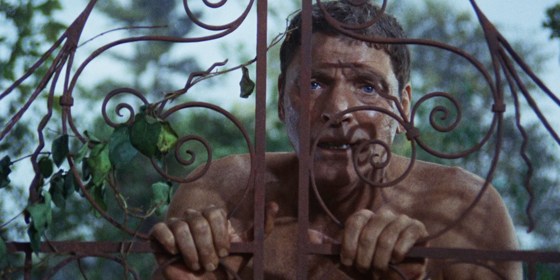 154. The Swimmer (1968)