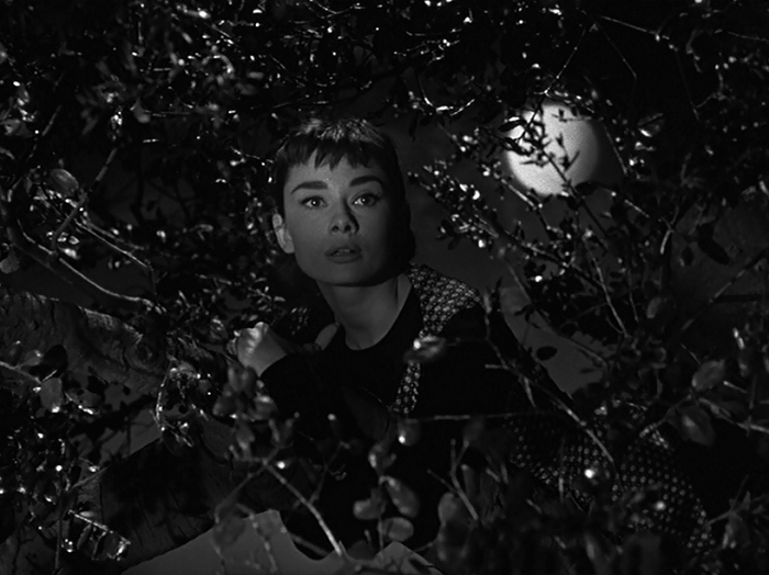 211. Sabrina (1954)