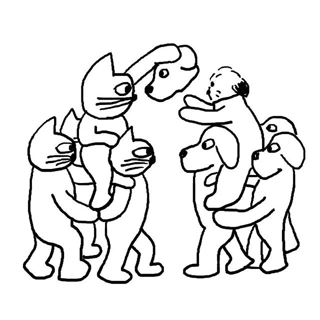 11349198_856845534422547_701034391_n.jpg
