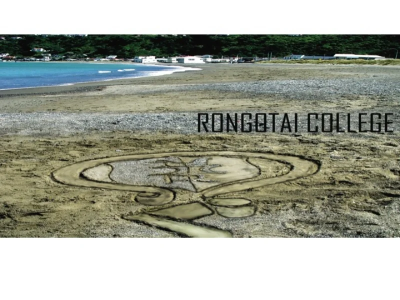 Te Rama cover Lyall Bay beach