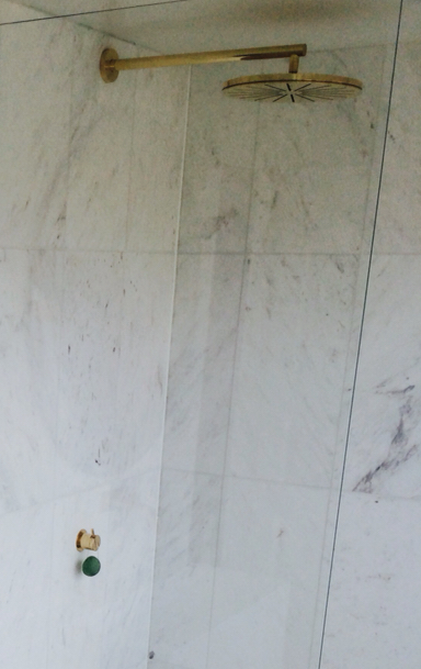 Vola Rain Showerhead