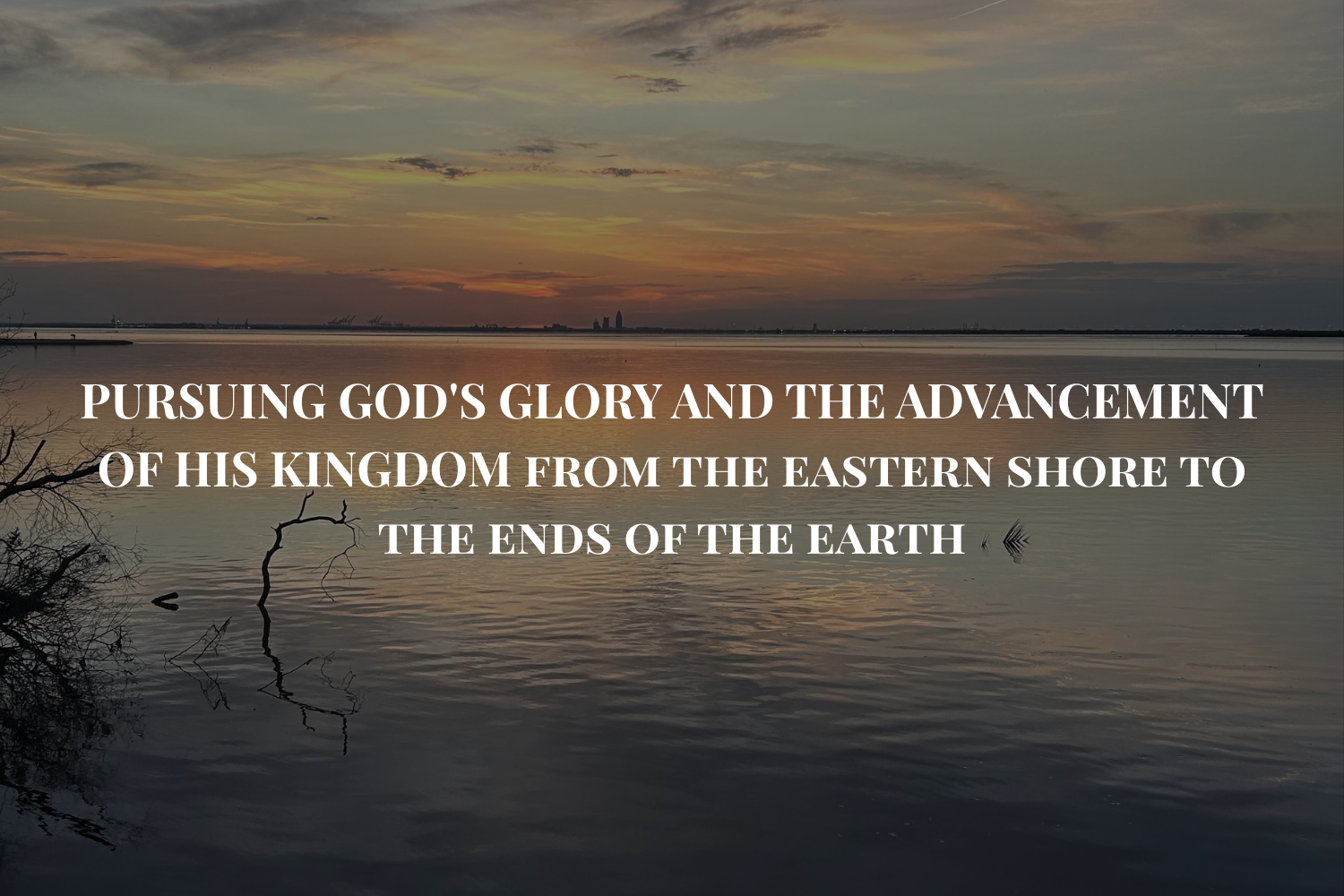 Copy of Copy of BodyLife Intro to Membership-5.png