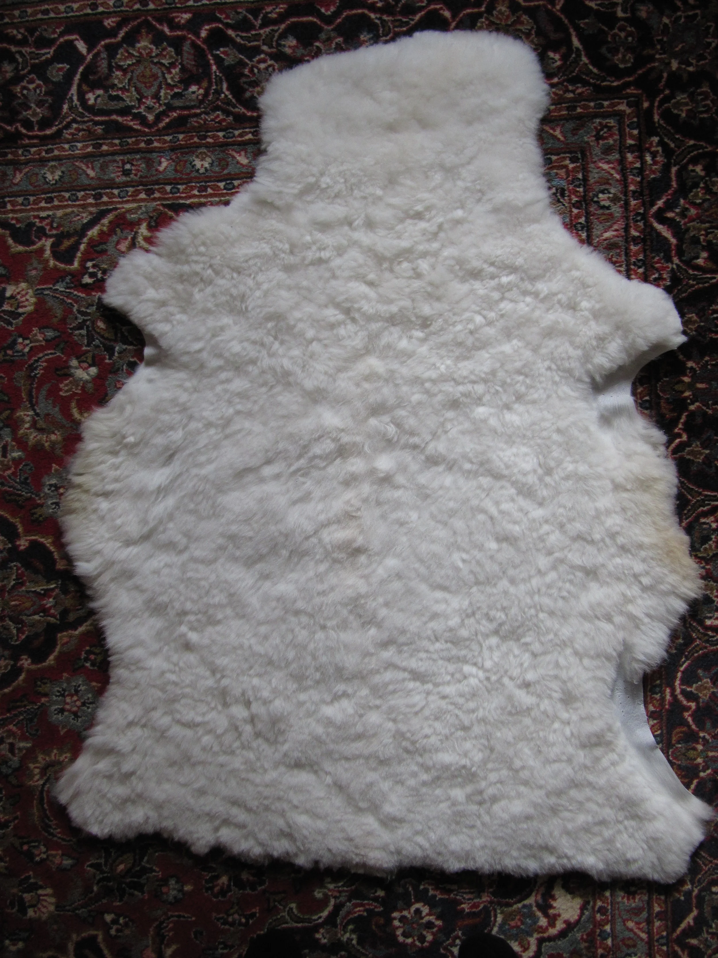 VF9 Vitt Kort