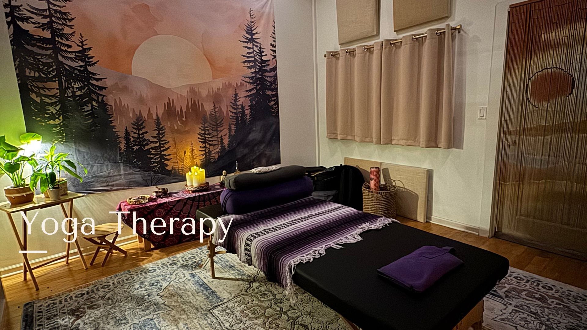 Yoga Therapy Open House