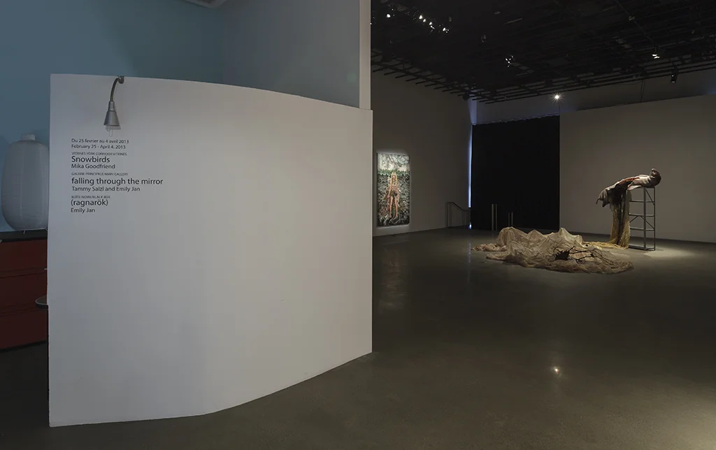 falling through the mirror - installation shot