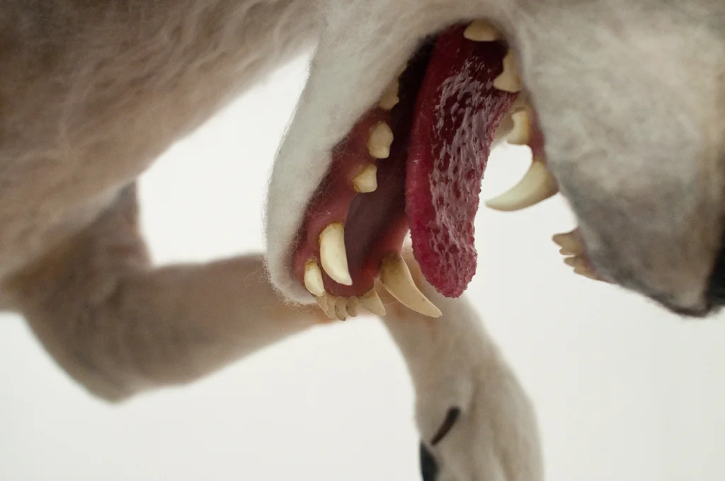 (ragnarök) - detail