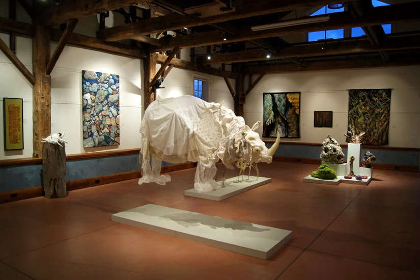 dürer's rhinoceros - installation view