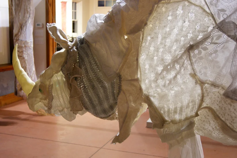 dürer's rhinoceros – installation view