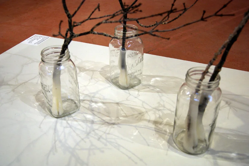 dikdik / ghost dikdik - installation view