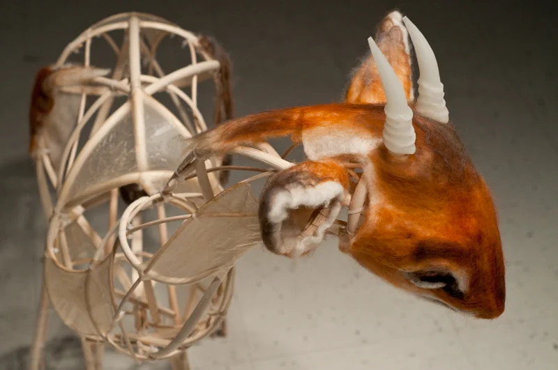 dikdik / ghost dikdik - detail