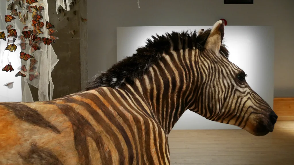 before the fall (detail of Quagga)