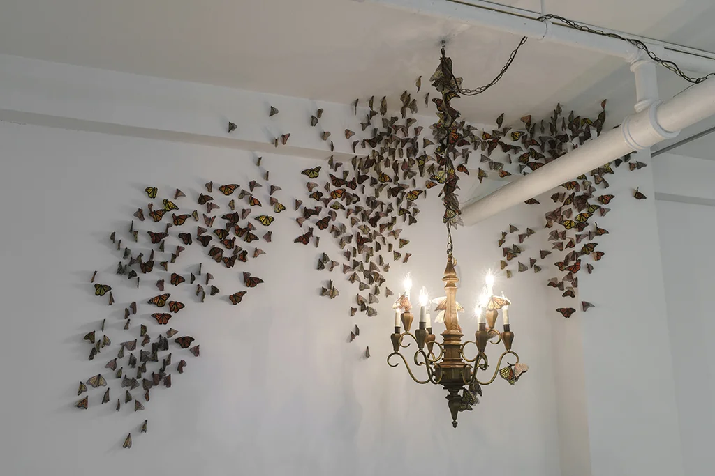 untitled (monarch butterflies, excerpt from Before the Fall)
