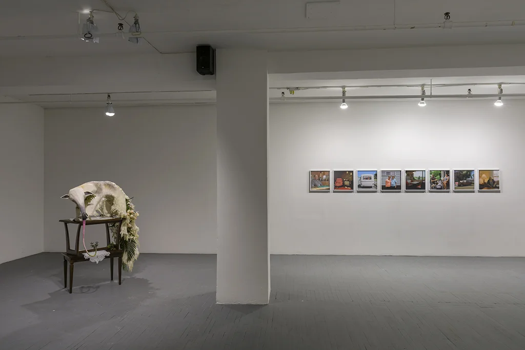 Installation view of "Voisins / Neighbours"
