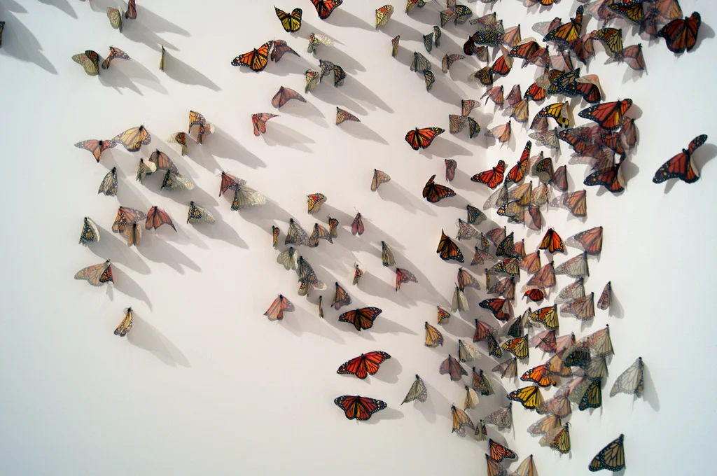 before the fall (second installation)