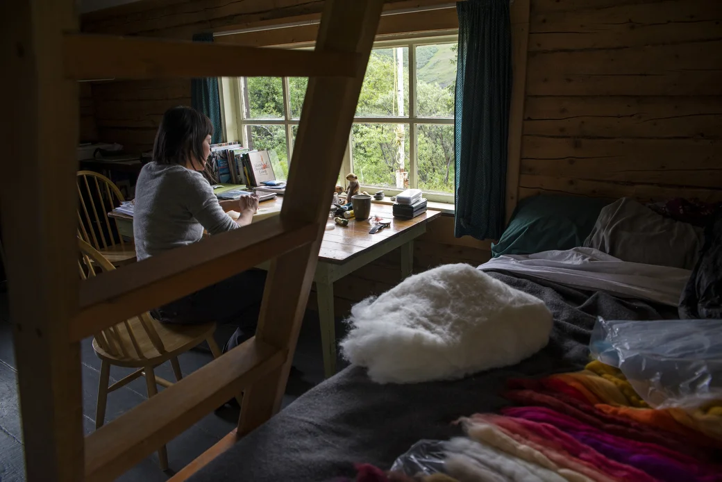 2016-18-15 AiR Trip tok Toklat-Emily Jan.JPG