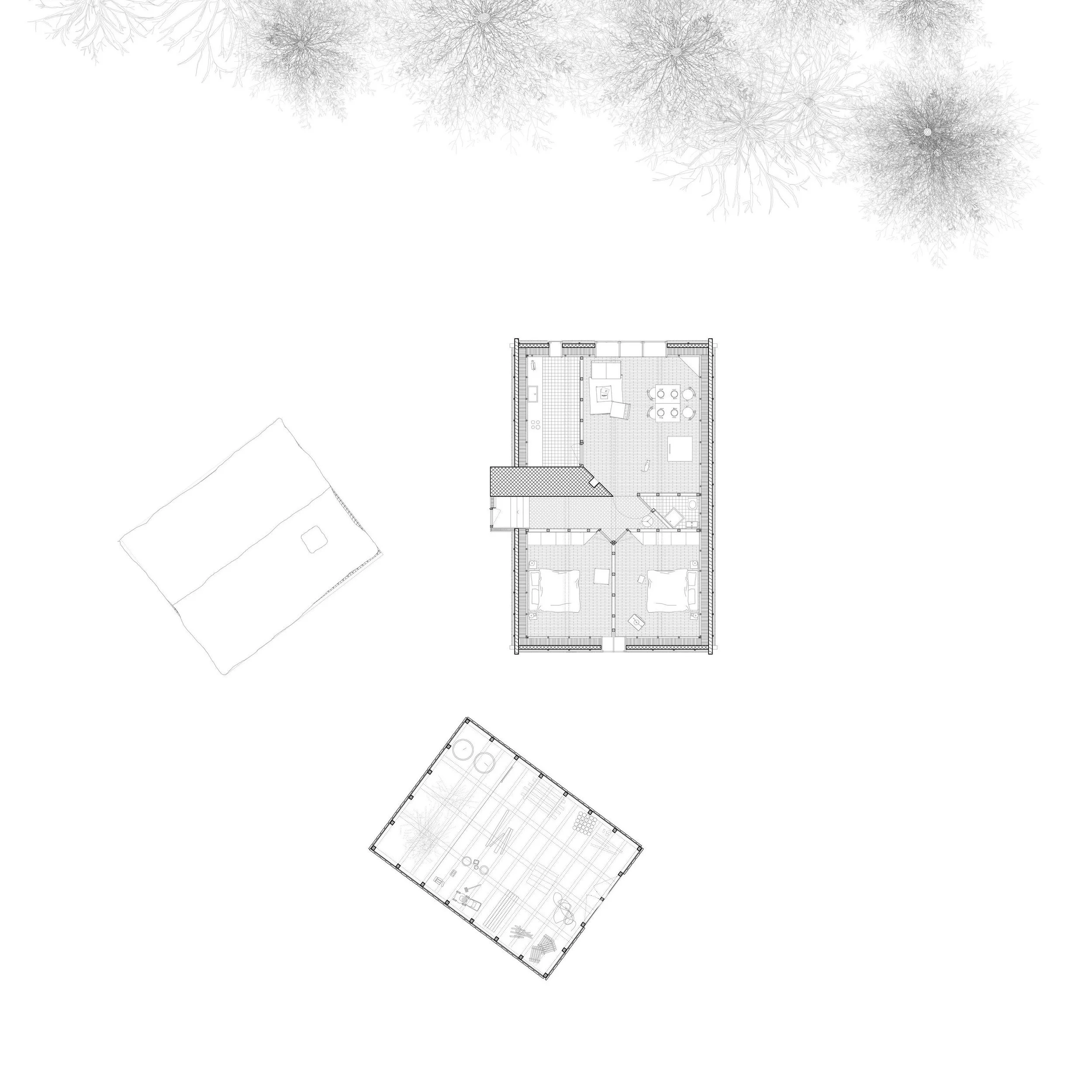Grundriss Wohnhaus EG +5.00m