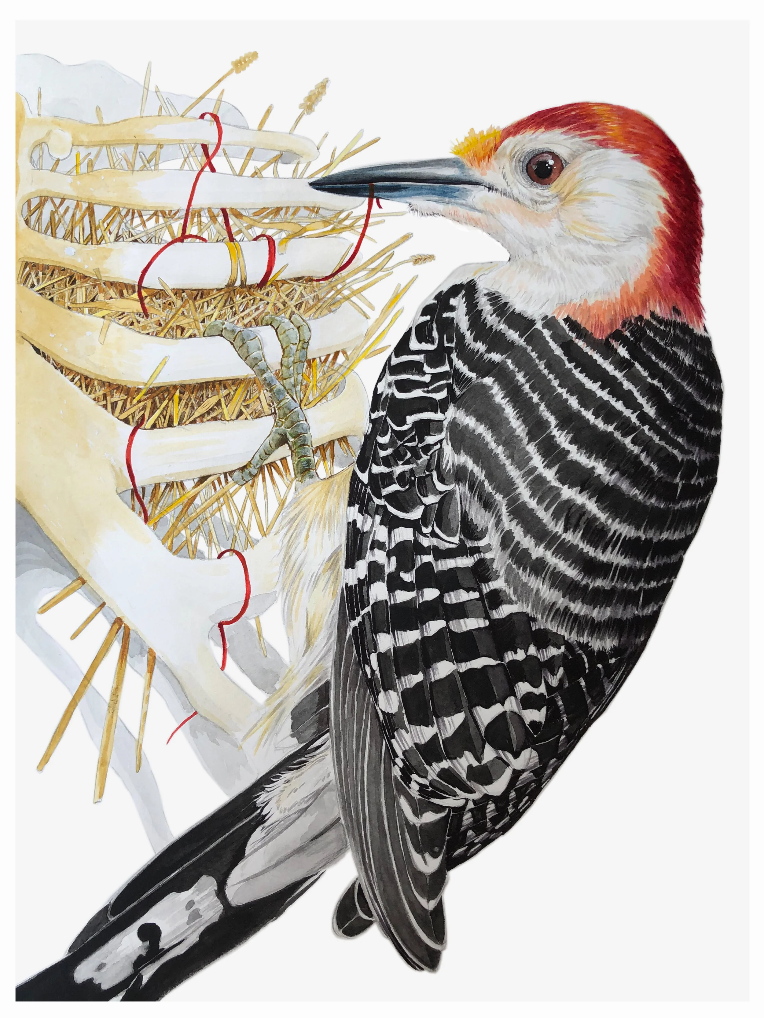 BE0E662E-28D0-4A2E-9AEF-E80C1D6B7C8E