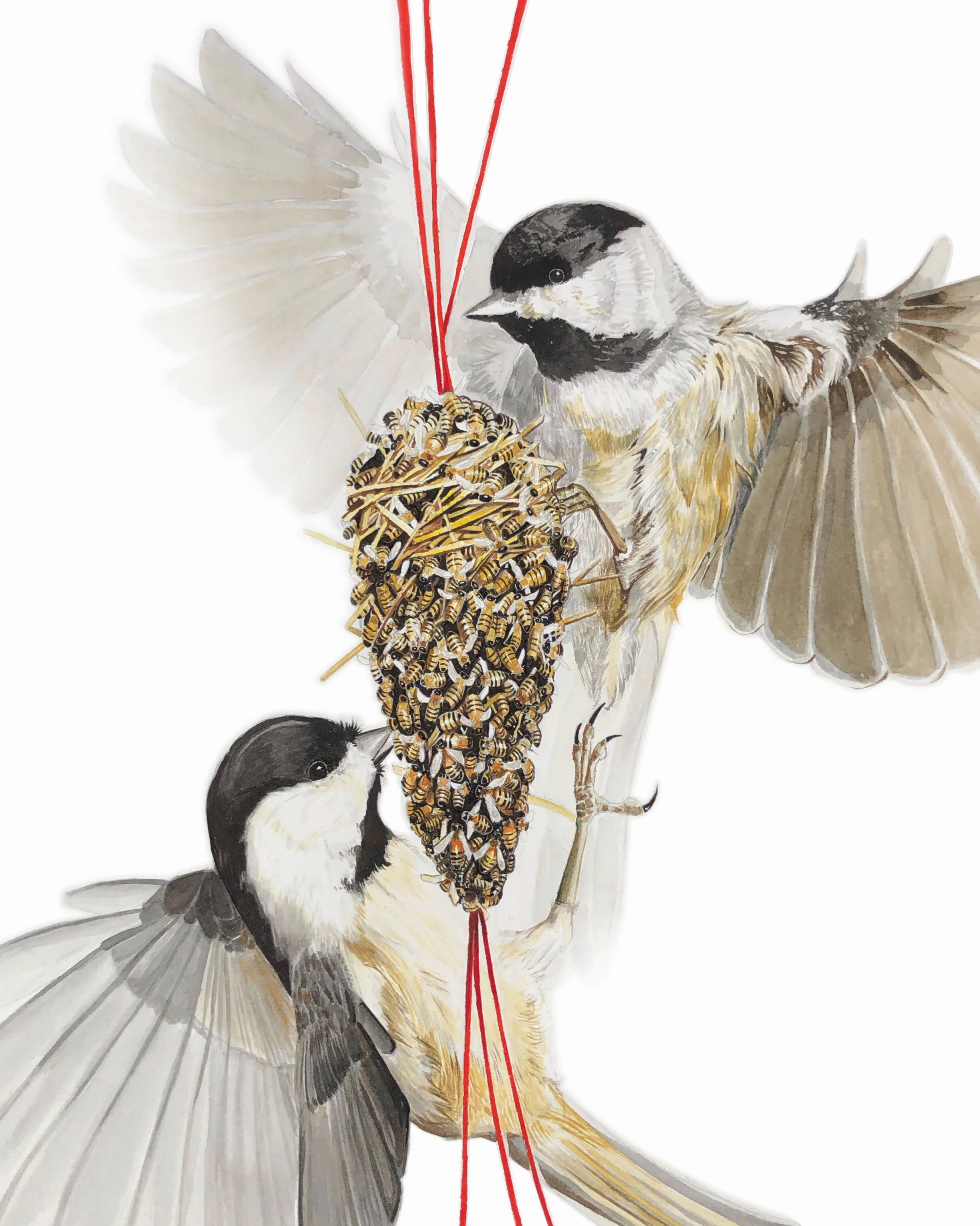 486DBEC0-DDAD-4F55-BAB6-2191BD07E6AC