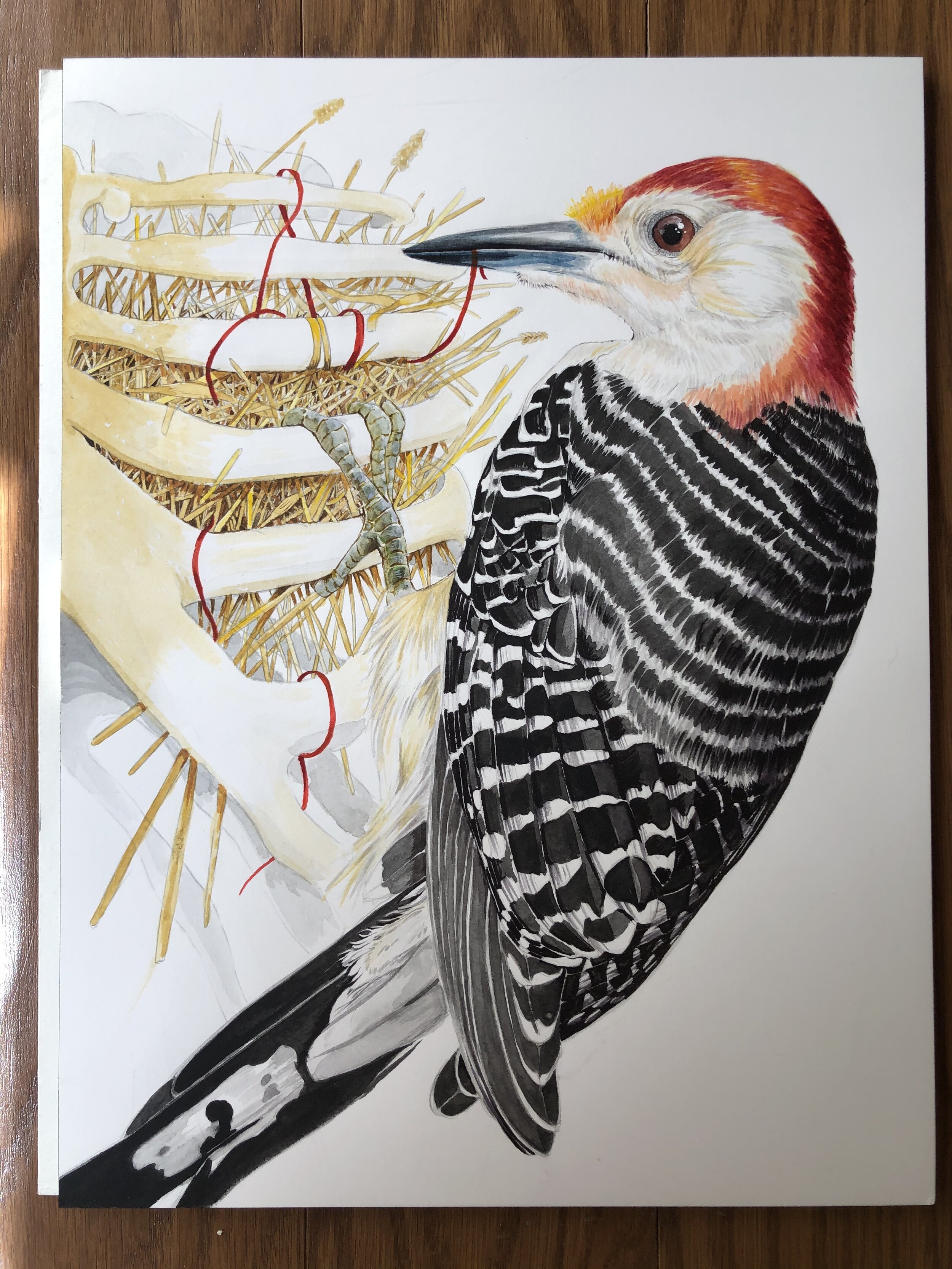 4FFA8276-F5A3-47D4-BE53-89859832A512