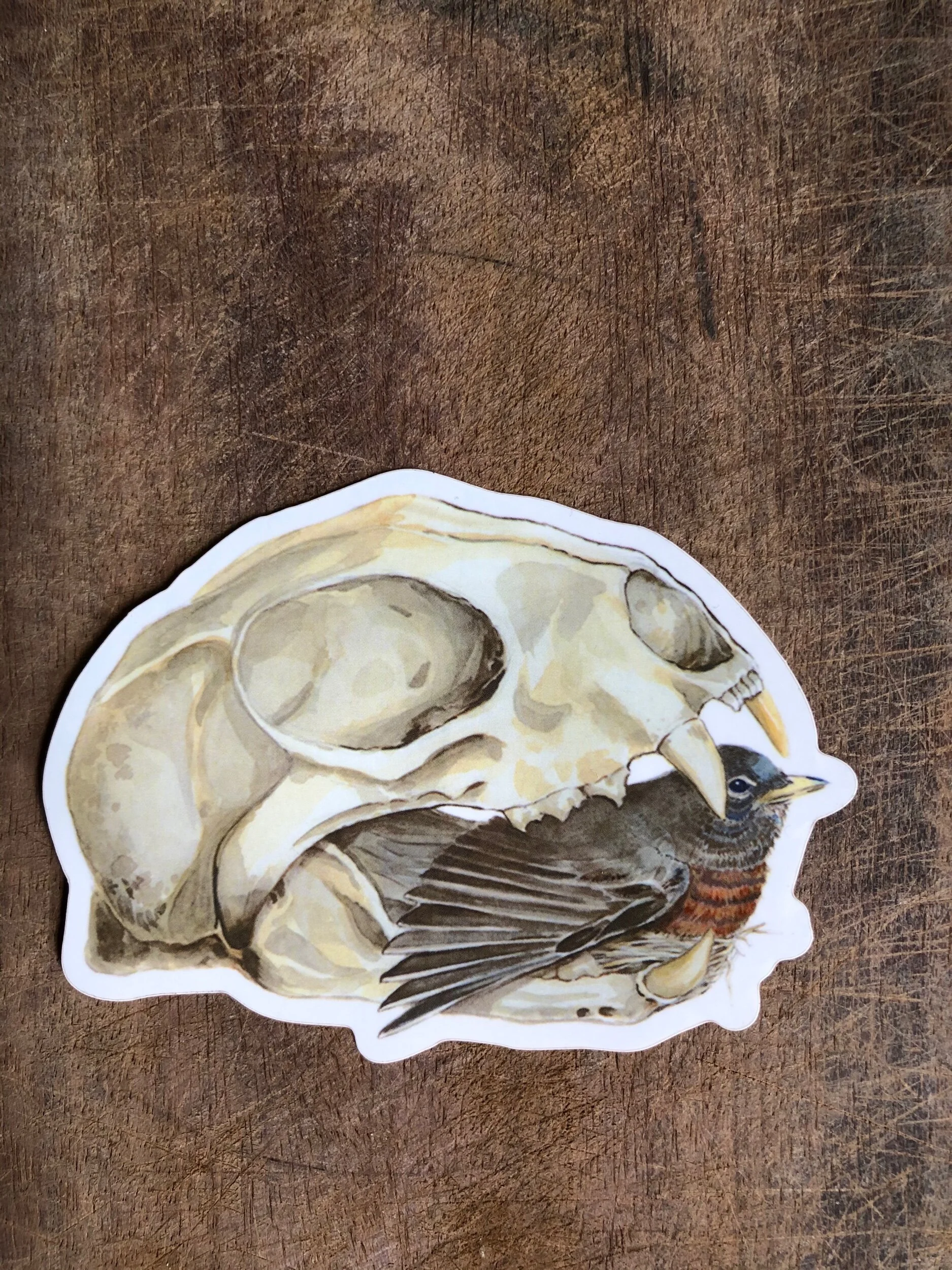 D6454E82-F79D-49BF-8C75-2D265B78F7BE