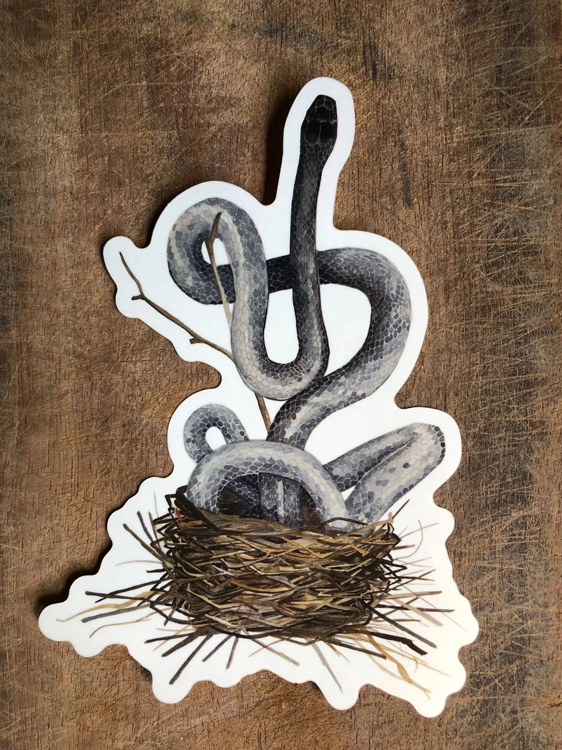 F20A8EDD-86B5-4D51-B0B7-C12653A6BE8B