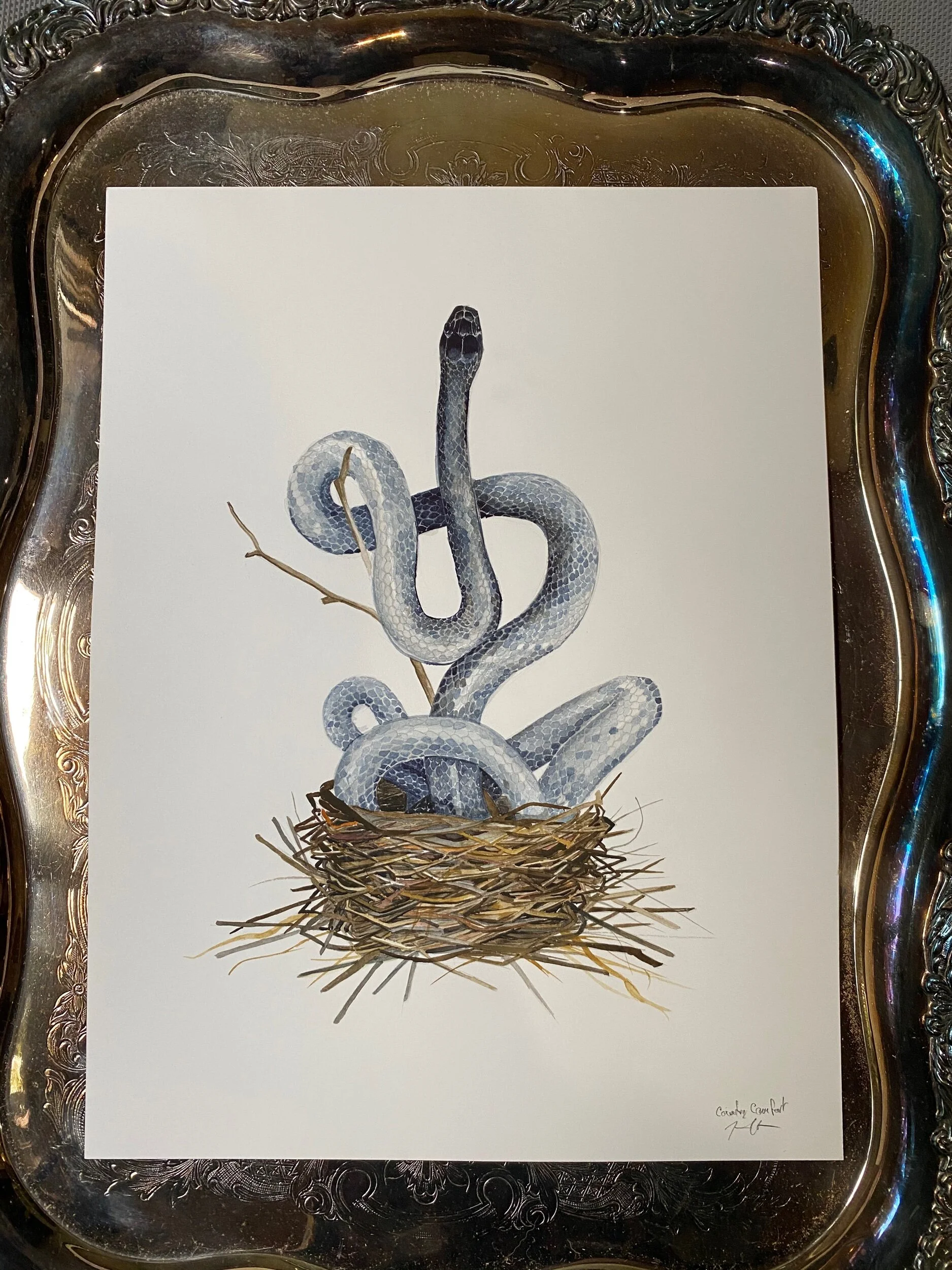 368BCD54-4971-4ADD-AFCE-901FE3A20DB6