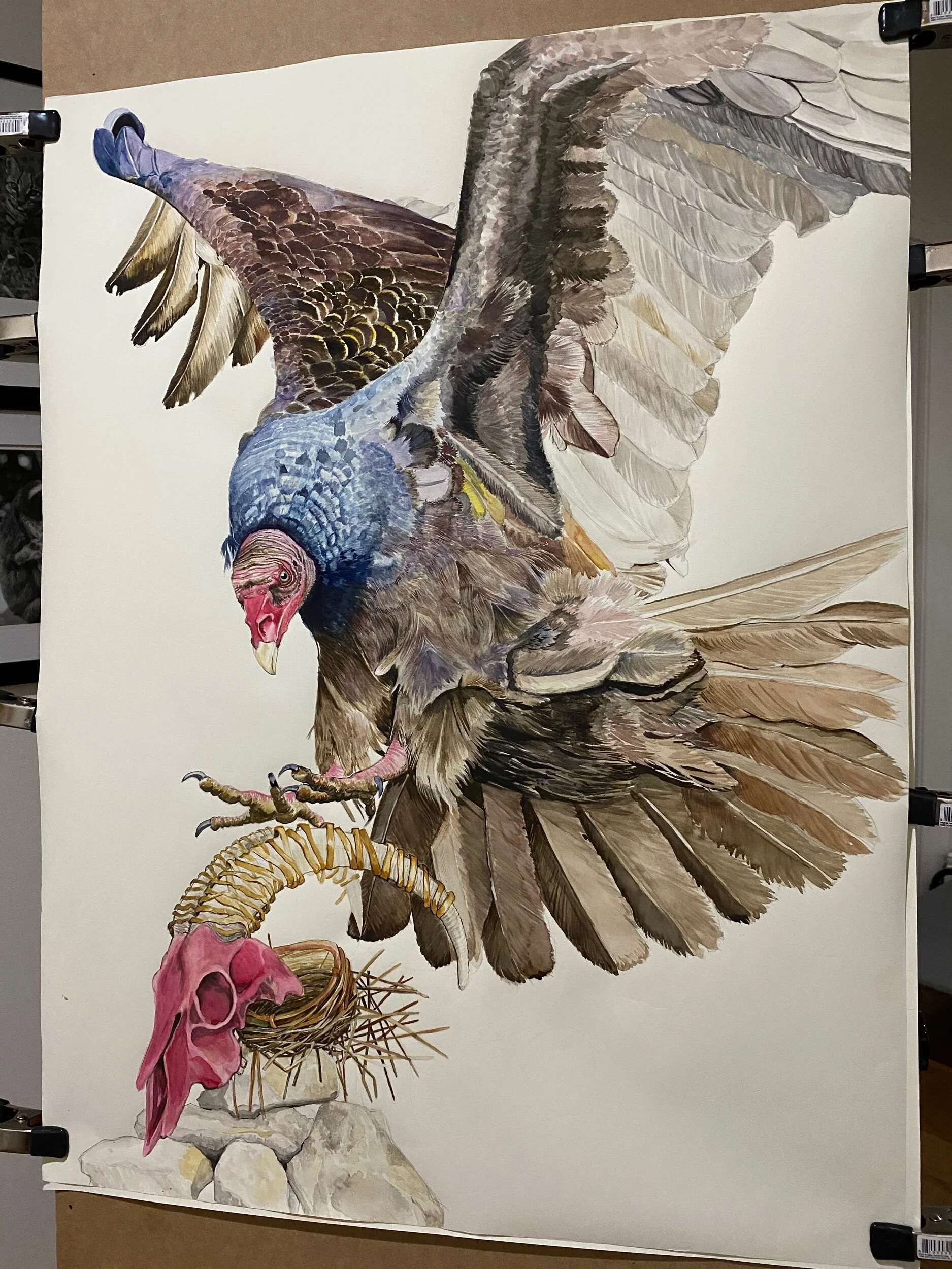 4CCDA06D-4C10-4FC9-B627-3118545FF2CA