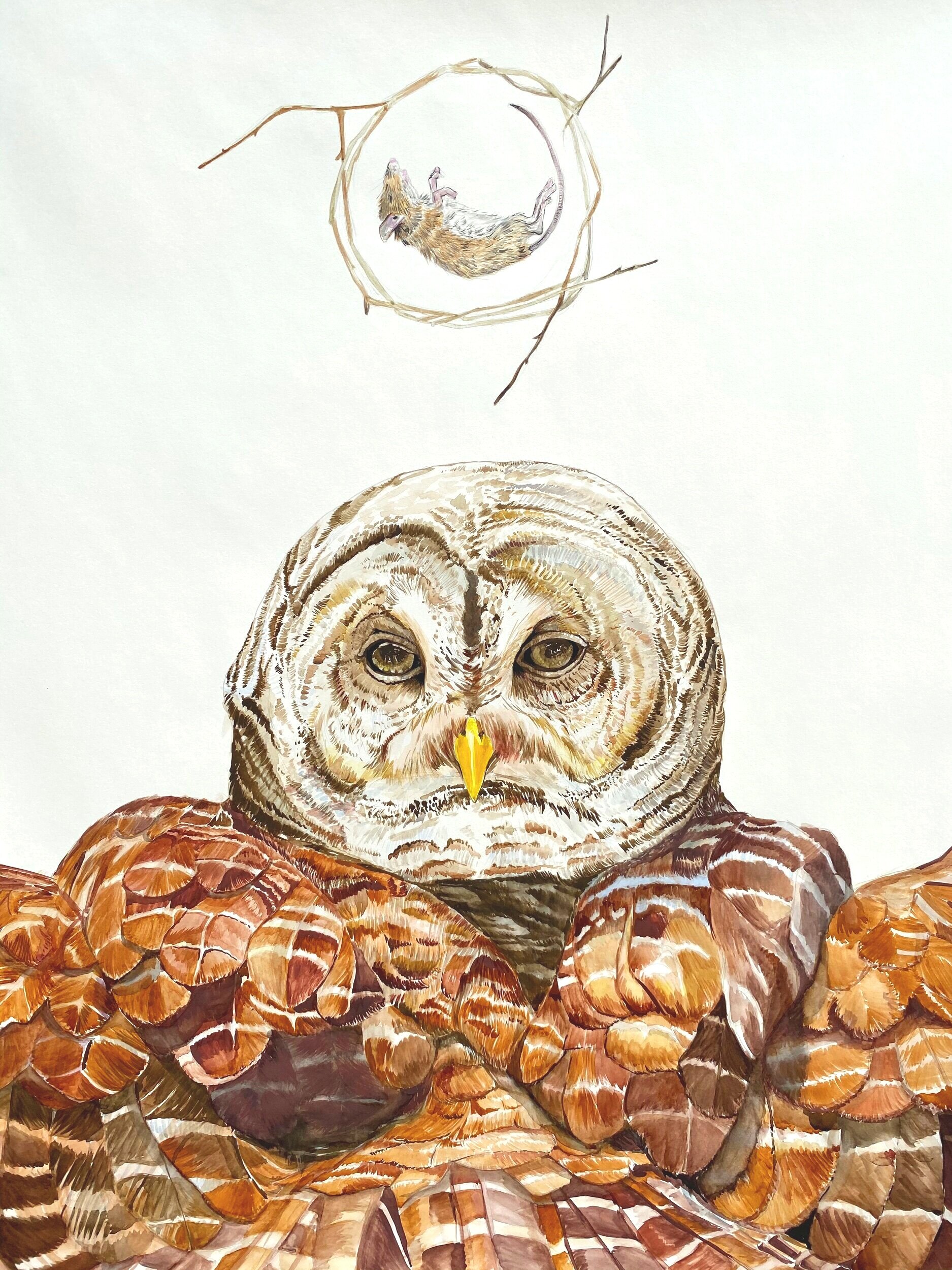 CDCA0A90-903F-4027-A92D-38F9D6305FF2