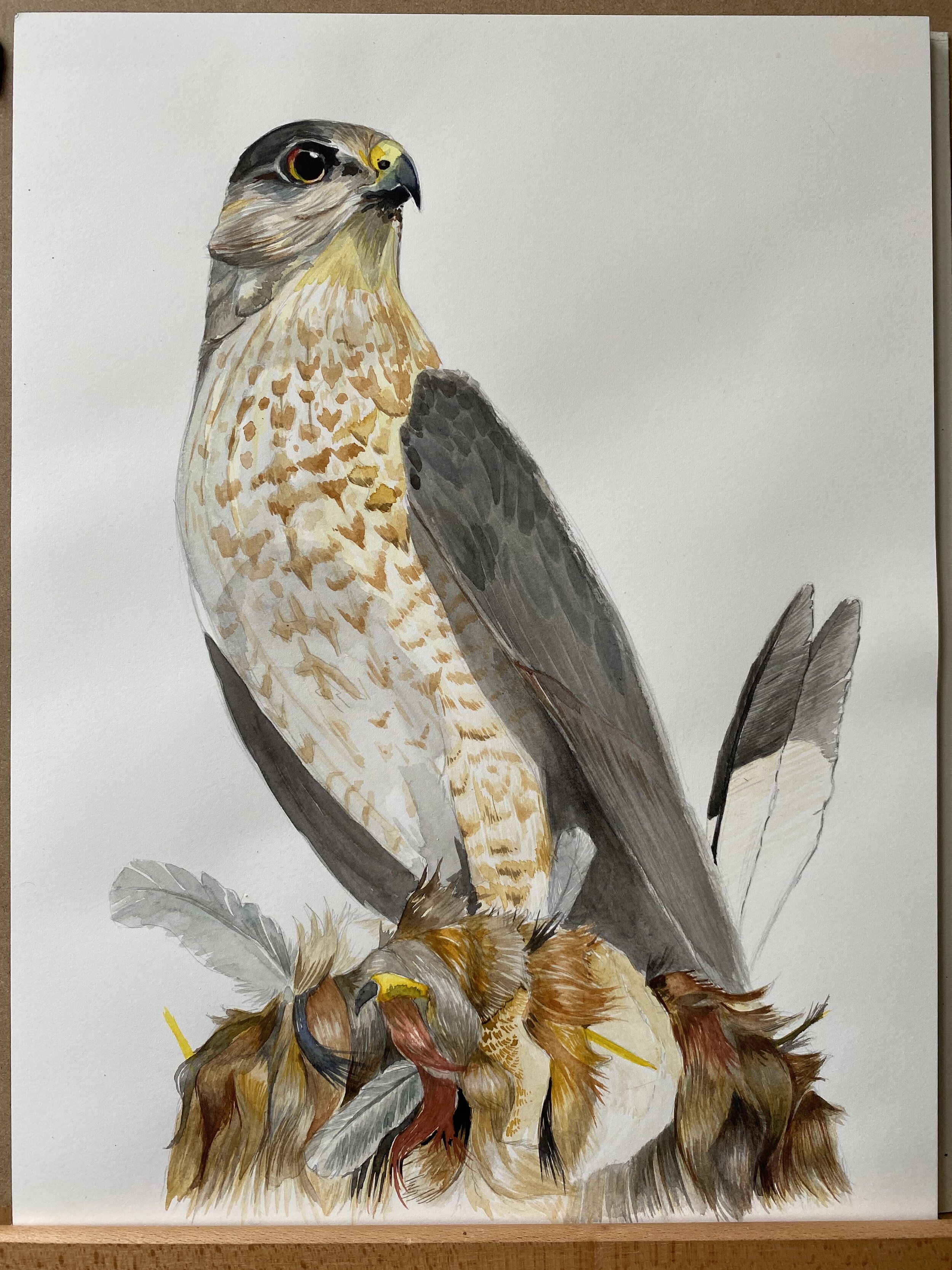 Ballad of a well known gun