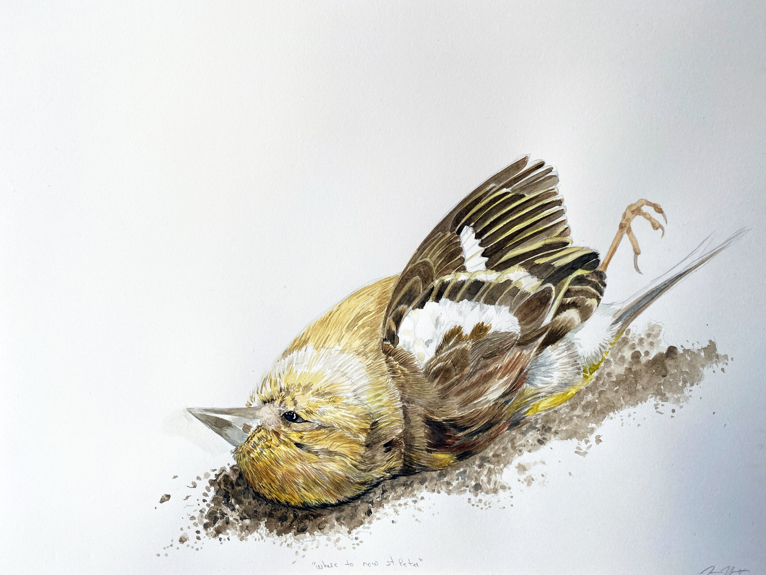 Where to now St.Peter? (Original)