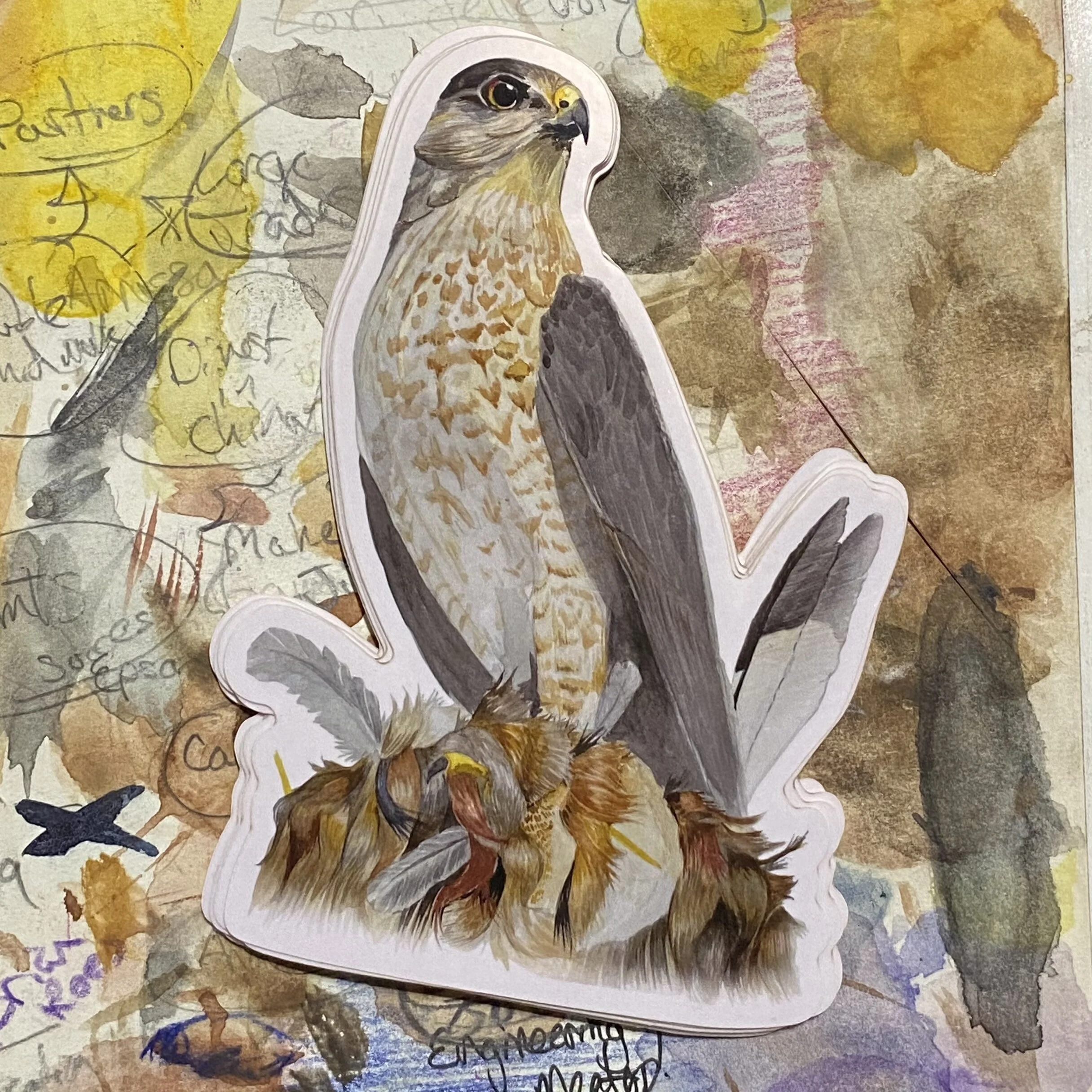 76E14617-8419-47D5-ACCC-F19D7A31E7C9